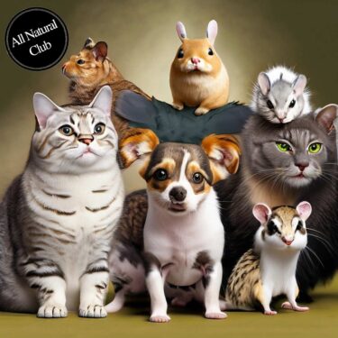 Awesome picture of common pets, including cats, dogs, ferrets, and more.