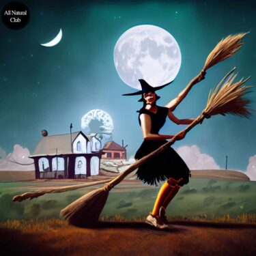 Image of a witch on a broom stick give reference to Halloween.